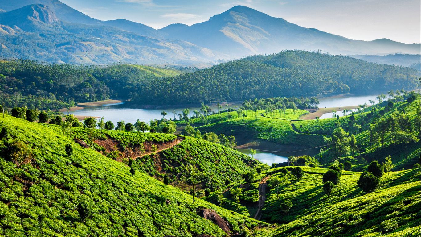 Cochin – Munnar
